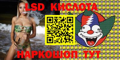 apvp Краснодар