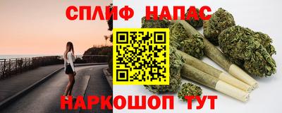 СК Краснознаменск