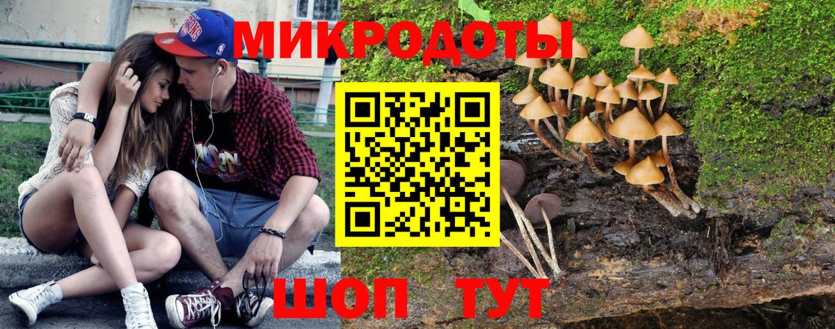 Псилоцибиновые грибы Cubensis  Галлюциногенные грибы MAGIC MUSHROOMS  Вход с VPN  Иваново 