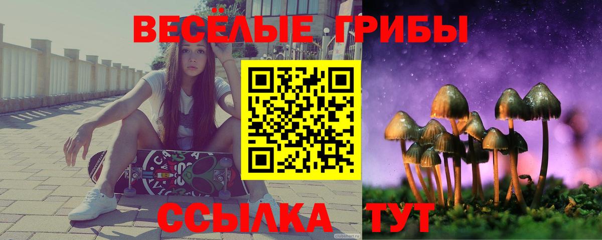Псилоцибиновые грибы Magic Shrooms Иваново